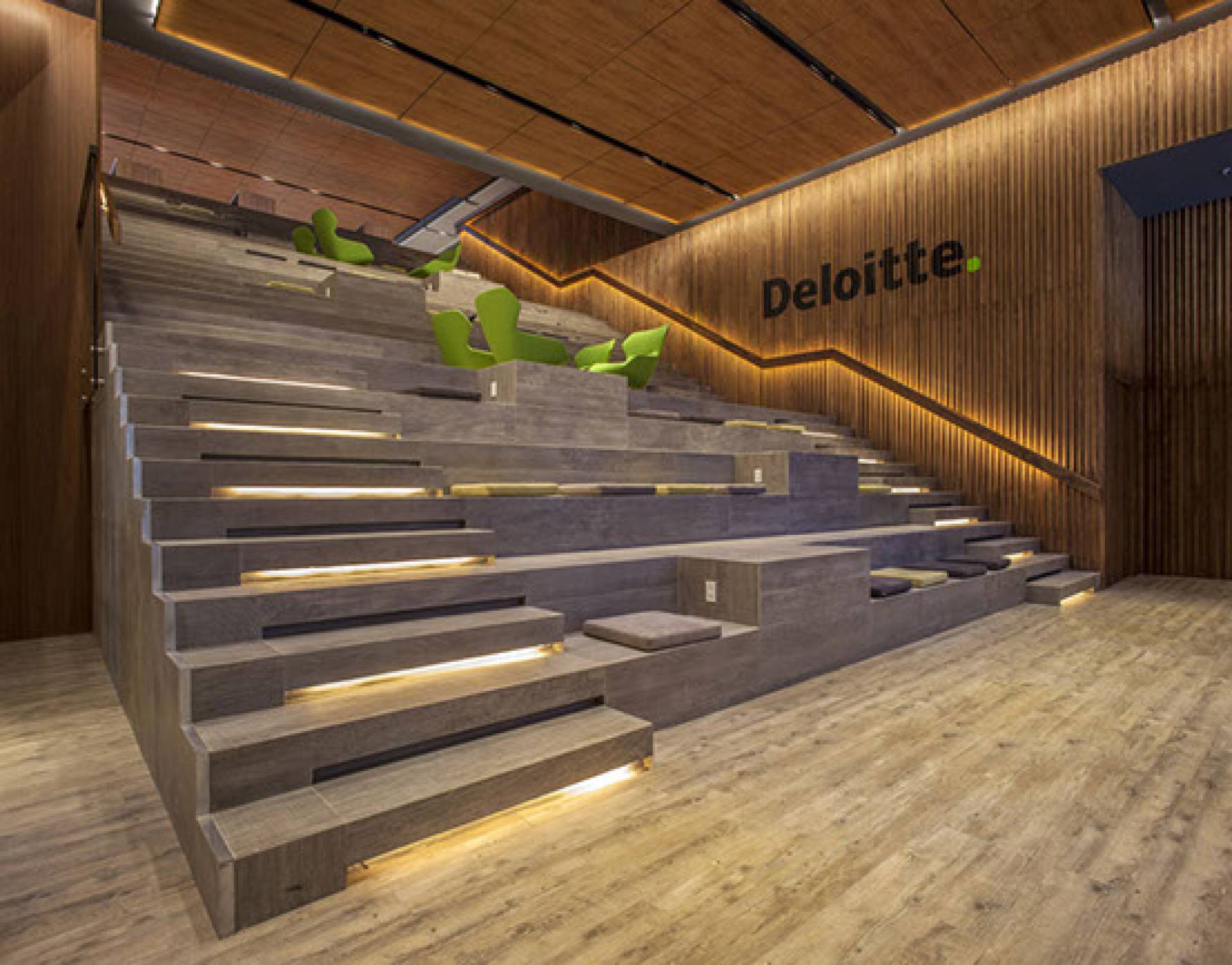 Deloite Centro de Excelencia